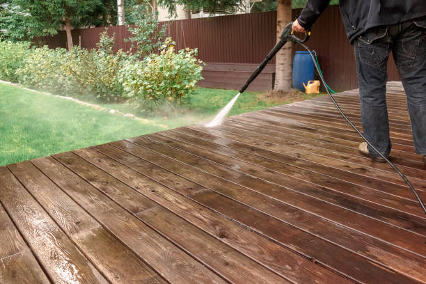 Best Solar Panel Cleaning  in Doolittle, TX